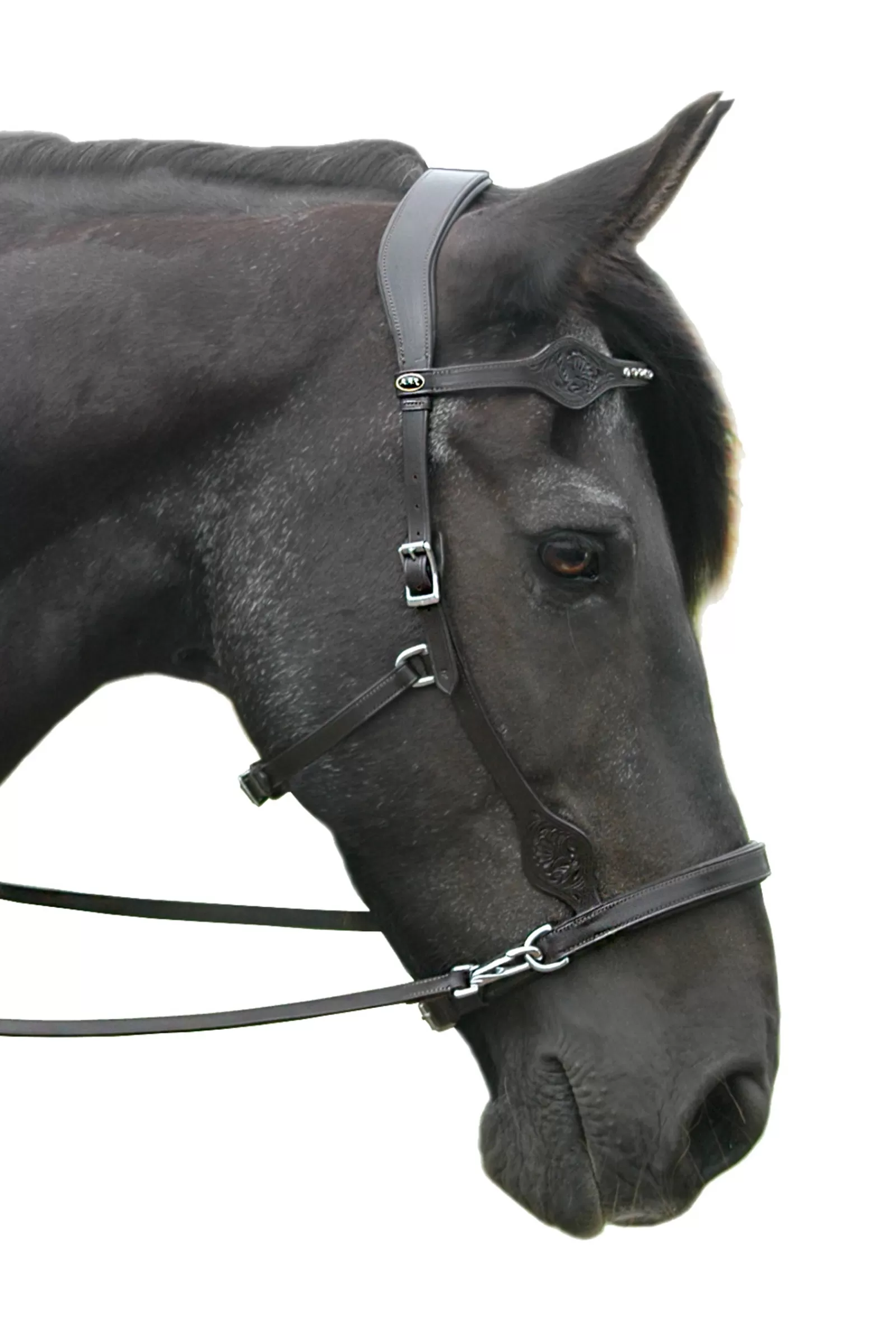 New Dandy Sidepull (System 3) Leather, W/ Leather Clip Reins Bridons Et Filets